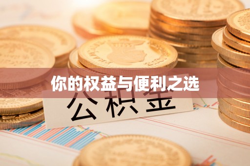玉泉你的权益与便利之选