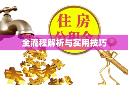 玉泉全流程解析与实用技巧