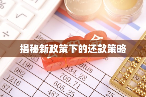 玉泉揭秘新政策下的还款策略