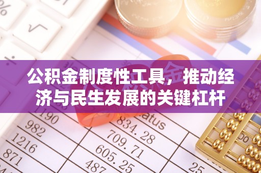 玉泉公积金制度性工具，推动经济与民生发展的关键杠杆