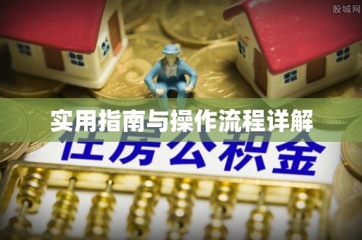 玉泉实用指南与操作流程详解