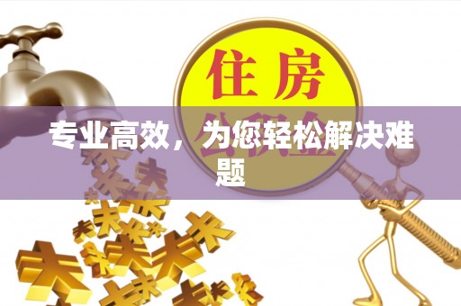 玉泉专业高效，为您轻松解决难题