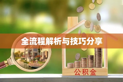 玉泉全流程解析与技巧分享