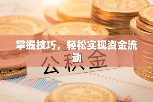 玉泉掌握技巧，轻松实现资金流动